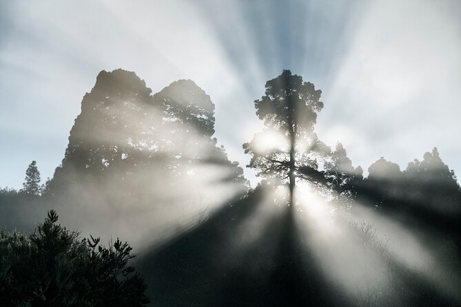 Tenerife: Landscape Photography Workshops, 10 Hours - Schedule and Operating Hours