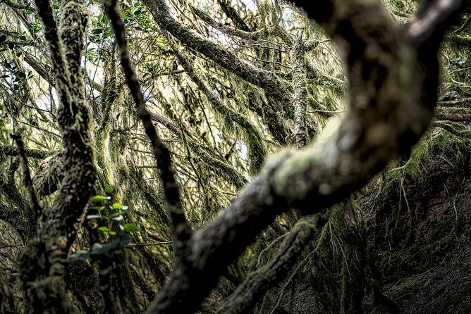 Tenerife: Landscape Photography Workshops, 10 Hours - Booking and Cancellation