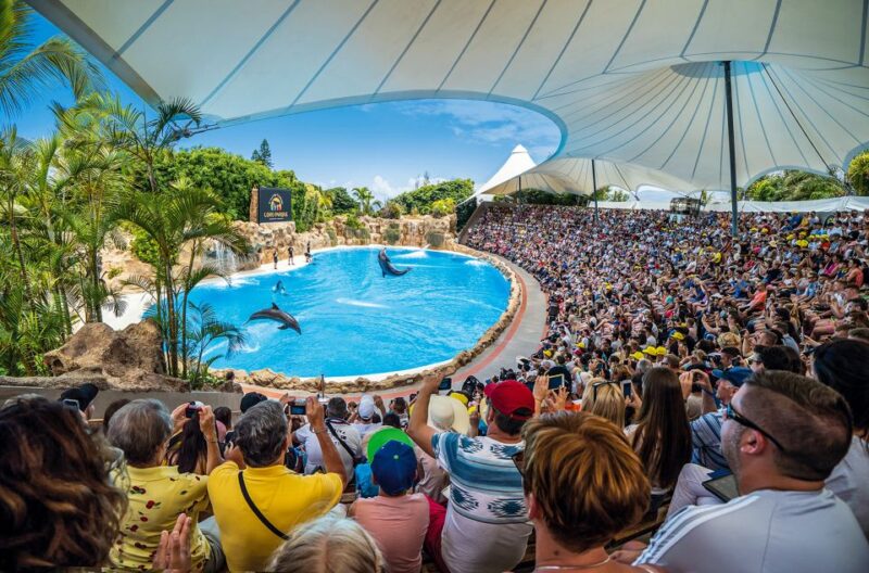 Tenerife: Loro Parque Entry Ticket - Key Points
