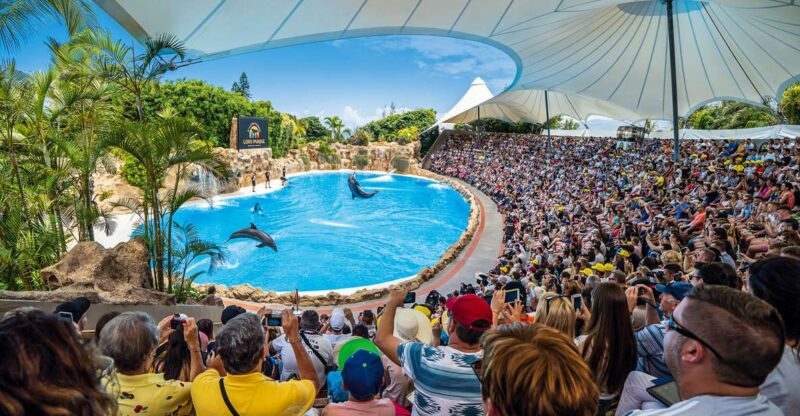 Tenerife: Loro Parque Entry Ticket - Park Highlights