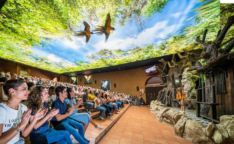 Tenerife: Loro Parque Entry Ticket - Animal Presentations