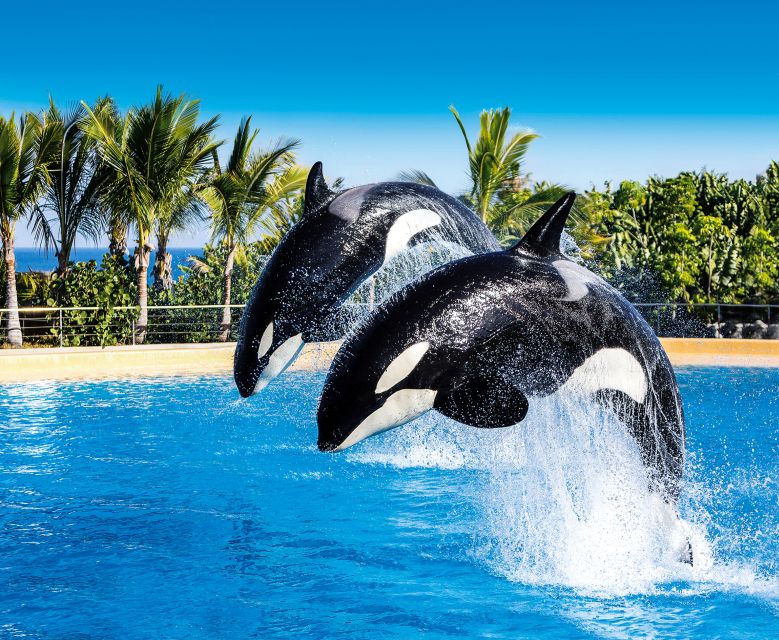 Tenerife: Loro Parque Entry Ticket - Customer Feedback
