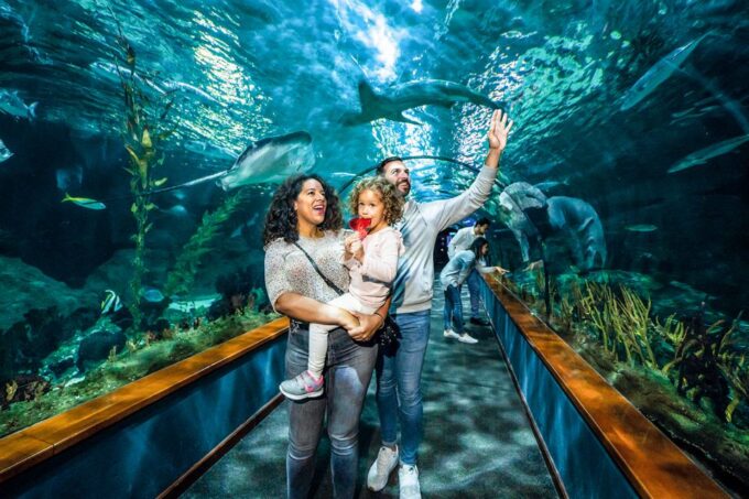 Tenerife: Loro Parque Entry Ticket - Age Restrictions