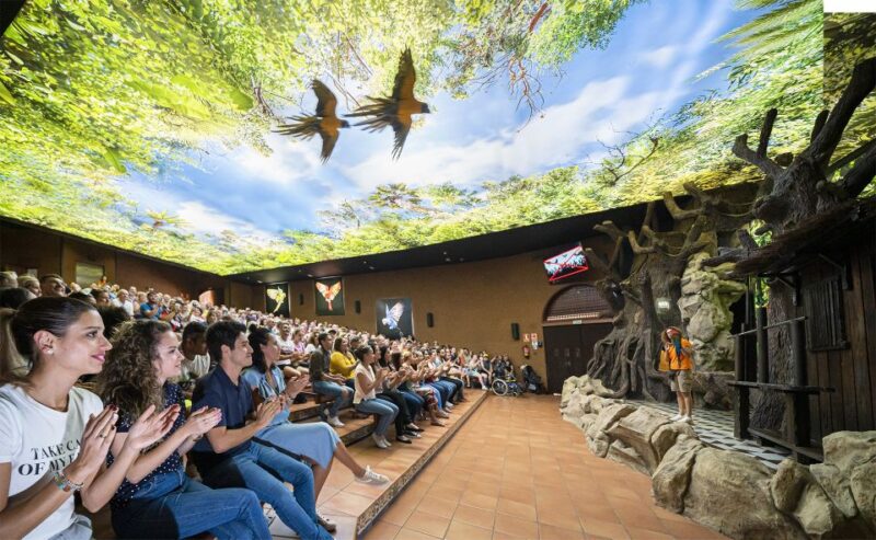 Tenerife: Loro Parque & Siam Park Combined Tickets - Siam Park Attractions