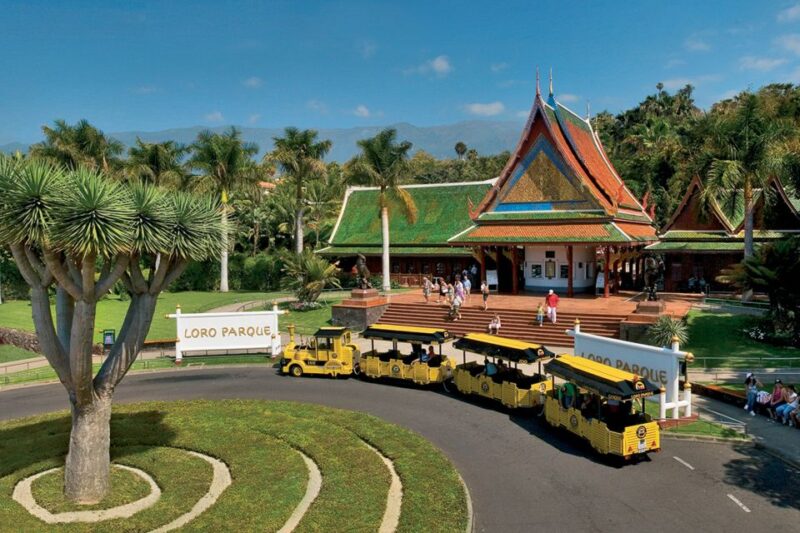 Tenerife: Loro Parque & Siam Park Entry Ticket With Transfer - Ticket Booking Details