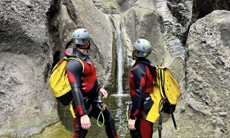 Tenerife: Los Carrizales Water Canyoning Tour - Canyoning Highlights