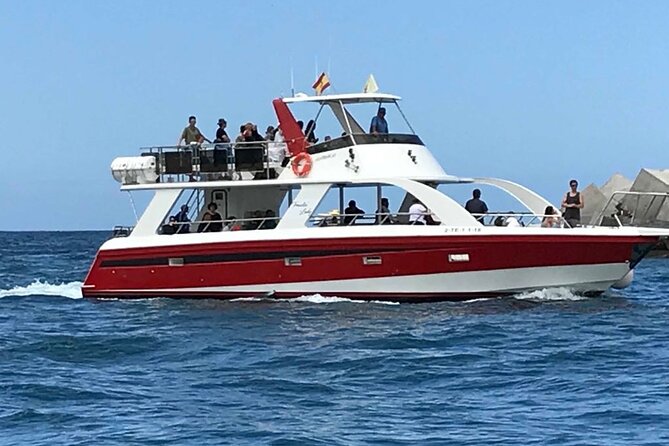 Tenerife Los Cristianos: Whale and Dolphin Eco-Yacht and Swim Stop - Additional Information