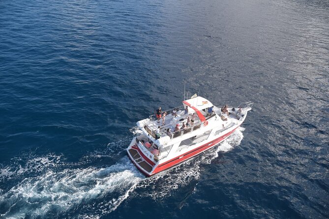 Tenerife Los Cristianos: Whale and Dolphin Eco-Yacht and Swim Stop - Booking and Confirmation