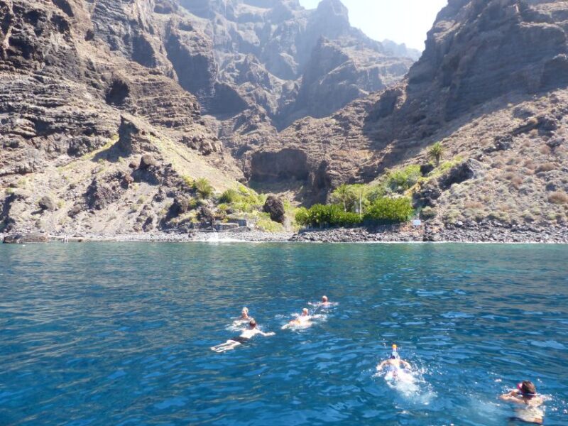 Tenerife: Los Gigantes Whale Watching Cruise by Sail Boat - Included Amenities