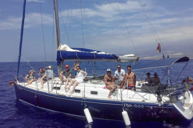 Tenerife: Luxury Private Whale & Dolphin Watching Tour - Departure Location