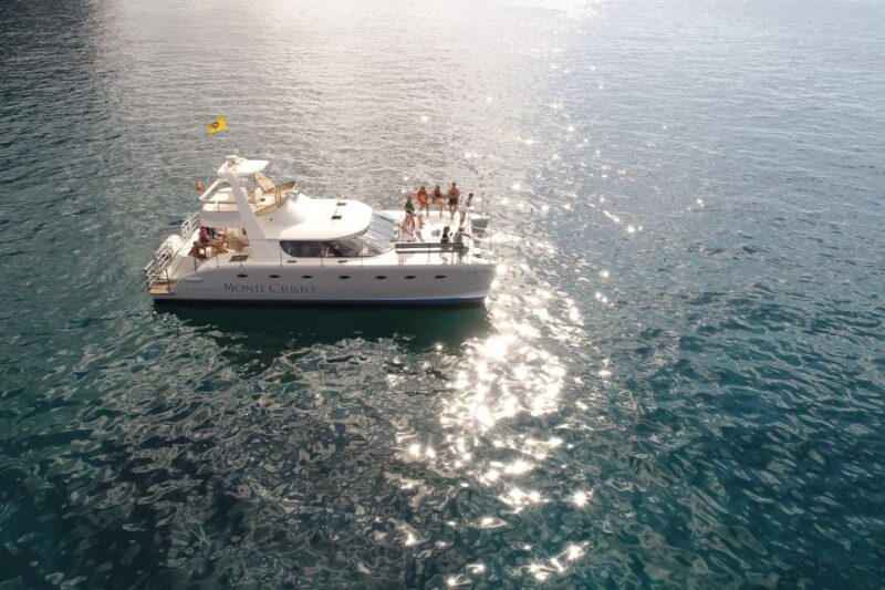 Tenerife: Marine-Life Tour With Transfer, Buffet and Drinks - Catamaran Cruise and Snorkeling