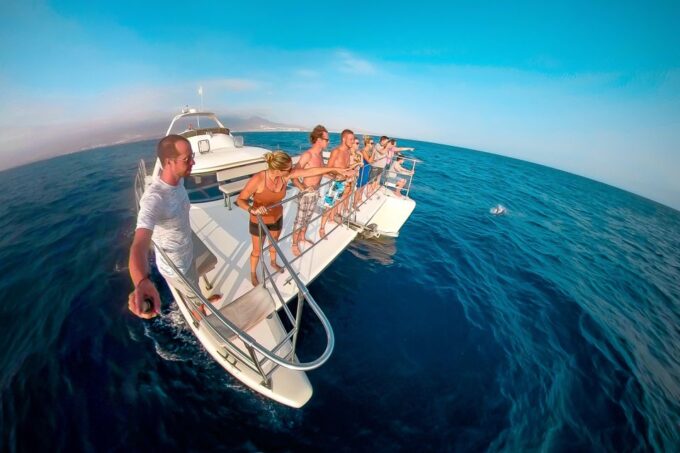 Tenerife: Marine-Life Tour With Transfer, Buffet and Drinks - Accessibility and Restrictions
