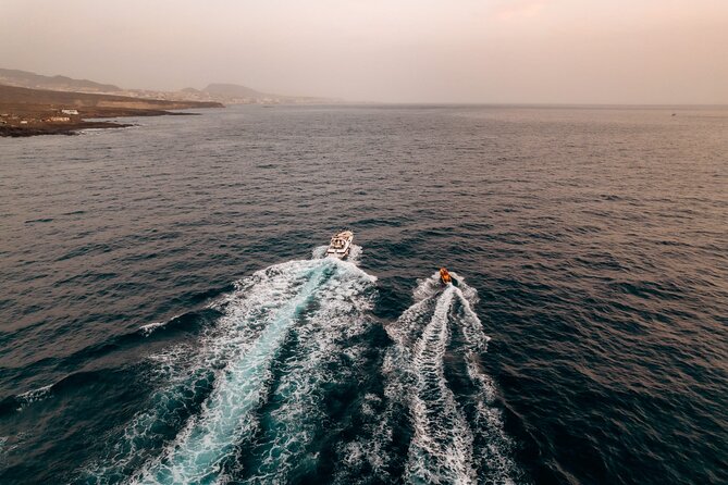 Tenerife Motor Boat Whale Watching & Snorkeling Experience - Overview of the Experience