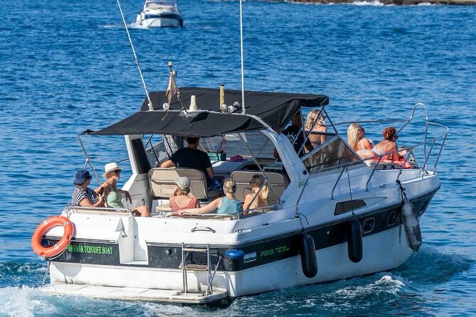 Tenerife Motor Boat Whale Watching & Snorkeling Experience - Meeting and Pickup Details