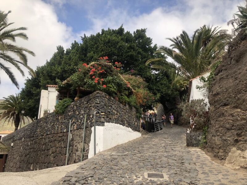 Tenerife: Mount Teide, Masca, Icod and Garachico Day Trip - Customer Ratings and Feedback