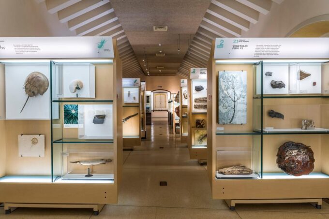 Tenerife: MUNA Museum Admission Ticket and Teide Legend Tour - Guanche Culture and Volcanic History