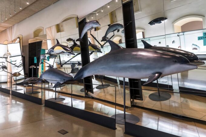 Tenerife: MUNA Museum Admission Ticket and Teide Legend Tour - Exploring Teide National Park