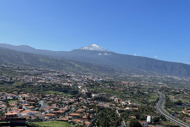 Tenerife North Gastro Wine Tour - Tour Highlights