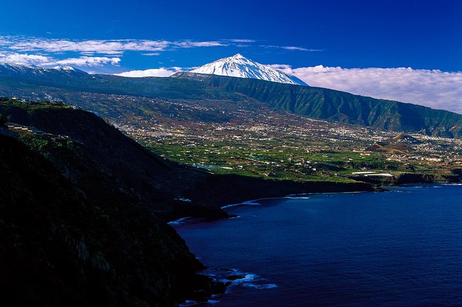 Tenerife North Private Tour: Through Villages and Ports - Ports and Dragon Trees