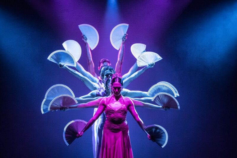 Tenerife: Olé Flamenco Show by Fran Chafino Ticket - Artistic Direction