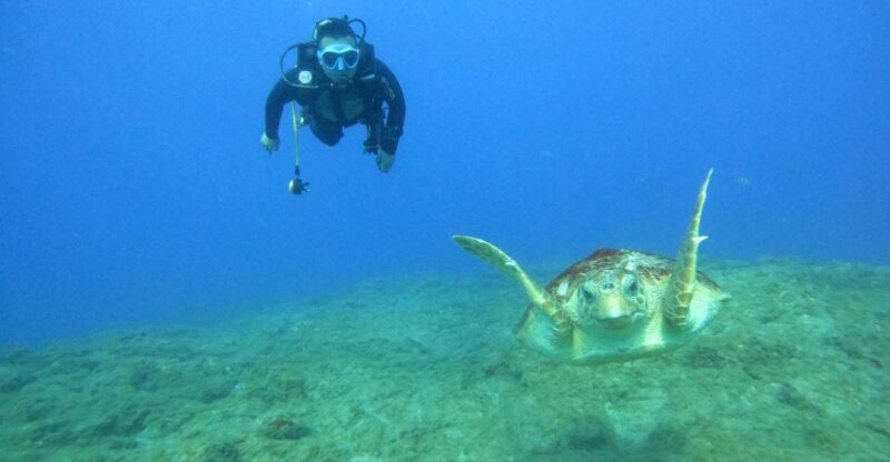 Tenerife: PADI Advanced Open Water Diver Course - Dive Capabilities