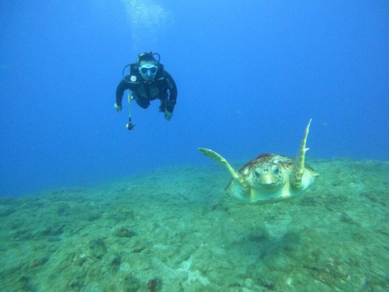 Tenerife: PADI Rescue Diver Course - Hands-on Scenario-based Training