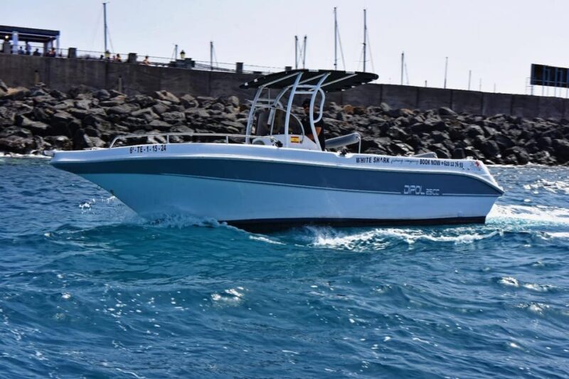 Tenerife: Private Boat Tour 4 Hours, Exclusive Trip With All Inclusive. - Key Points