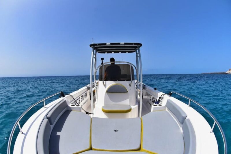 Tenerife: Private Boat Tour 4 Hours, Exclusive Trip With All Inclusive. - Participant Restrictions