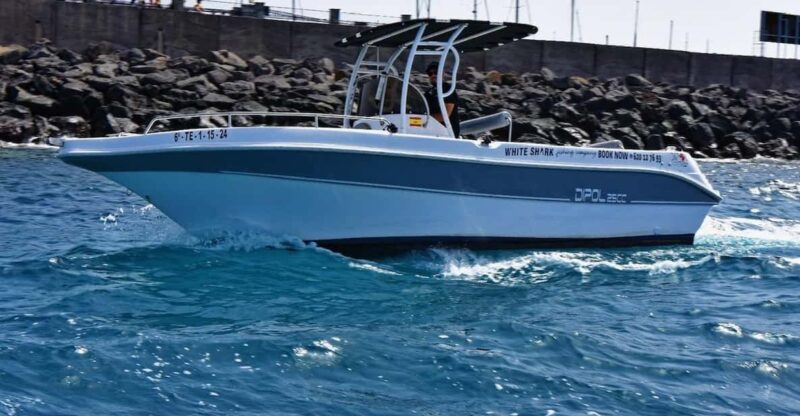 Tenerife: Private Boat Tour 7 Hours, Private Groups With All Inclusive - Experience Highlights
