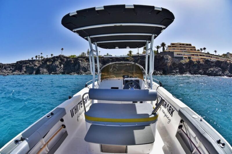 Tenerife: Private Boat Tour 7 Hours, Private Groups With All Inclusive - Included Offerings