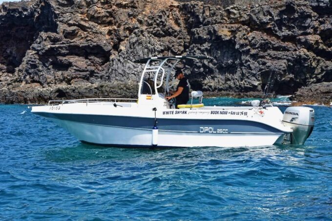 Tenerife: Private Boat Tour 7 Hours, Private Groups With All Inclusive - Reserve Now and Pay Later
