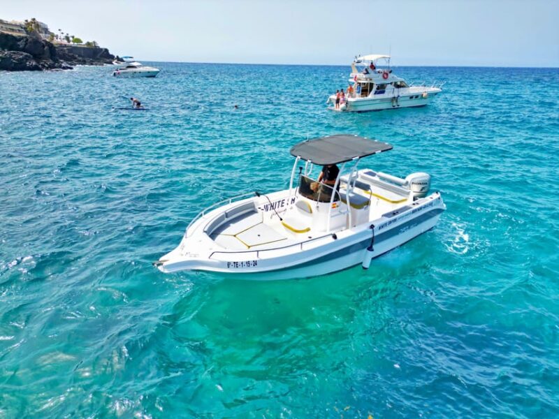 Tenerife: Private Fishing Charter, All-Inclusive Fishing Charter - Key Points