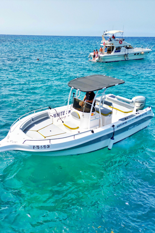 Tenerife: Private Fishing Charter, All-Inclusive Fishing Charter - Activities and Itinerary