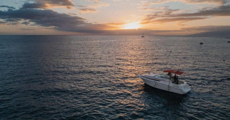 Tenerife: Private Luxury Sunset Boat Experience - Highlights