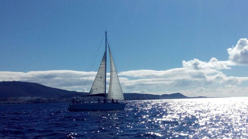 Tenerife: Private or Group 3 Hour Sailing Cruise With Drinks - Inclusions and Exclusions