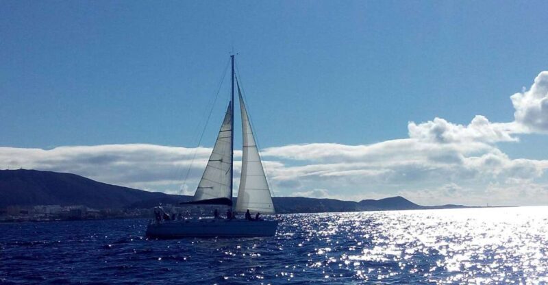Tenerife: Private or Group 3 Hour Sailing Cruise With Drinks - Meeting Point and Arrival Time