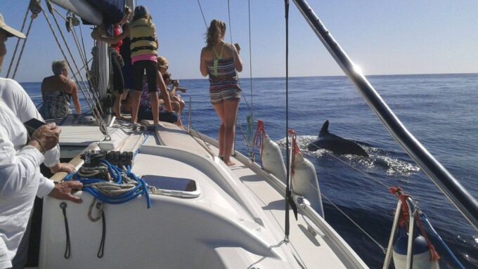 Tenerife: Private or Group 3 Hour Sailing Cruise With Drinks - Cetacean Watching Opportunities