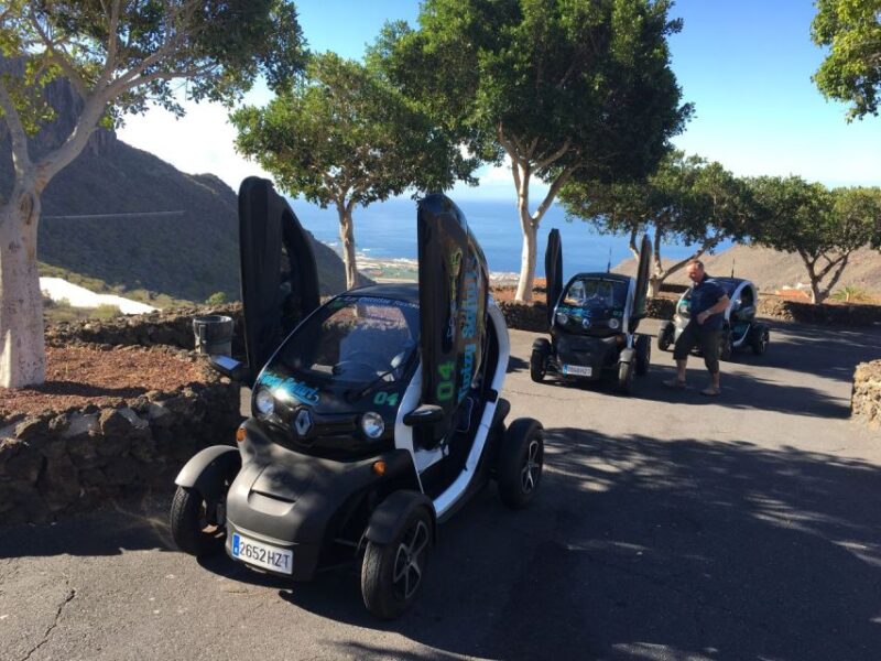 Tenerife: Private Renault Twizy Tour - Tour Details