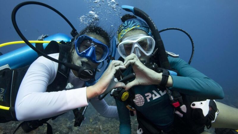 Tenerife: Private Scuba Diving Experience With Photos - Explore Tenerifes Underwater Marvels