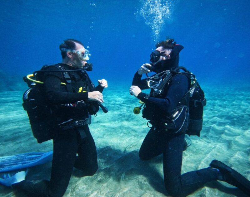 Tenerife: Private Scuba Diving Experience With Photos - Professional Scuba Diving Instruction