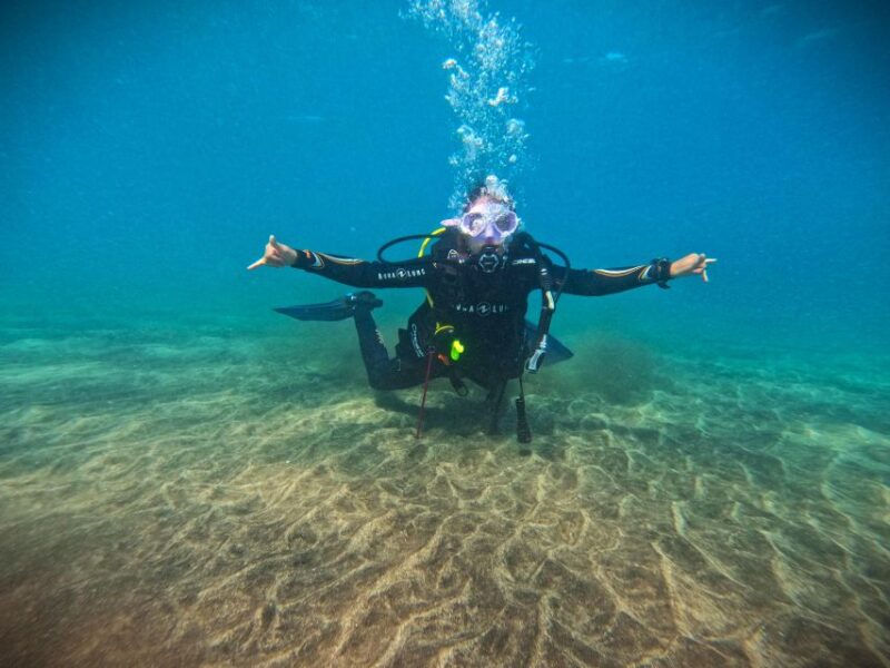 Tenerife: Private Scuba Diving Experience With Photos - Marine Life Sightings Potential