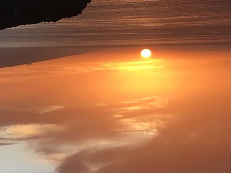 Tenerife: Private Sunset Charter With Drinks and Tapas - Observing Whales and Dolphins