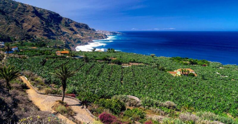 Tenerife Private Tour: Full-Day Historic North - Panoramic Atlantic Ocean Viewpoints
