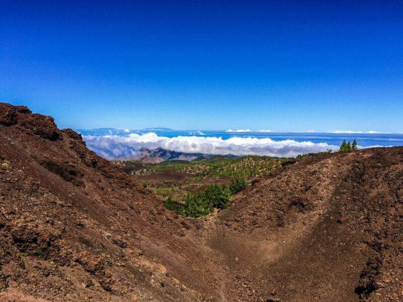 Tenerife Private Tour: Full-Day Volcanic South - Itinerary Highlights