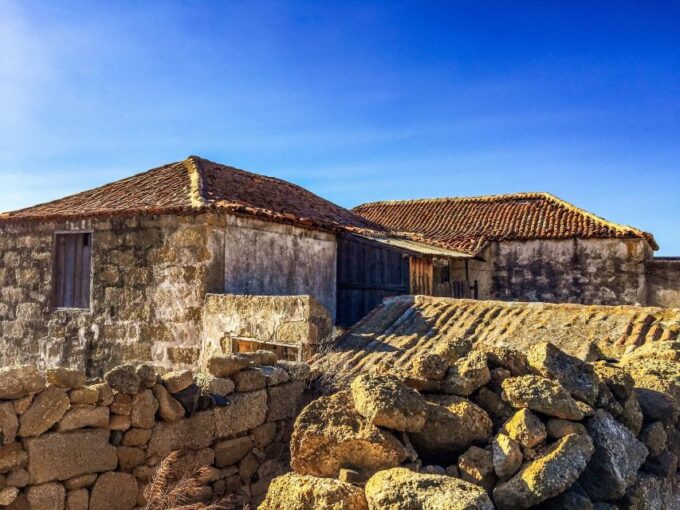 Tenerife Private Tour: Full-Day Volcanic South - Panoramic Views