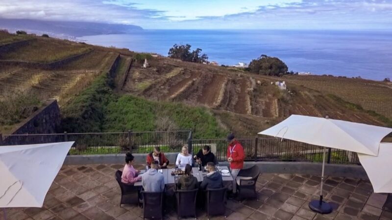 Tenerife Private Tour: Mount Teide Nature and Wine - Key Points