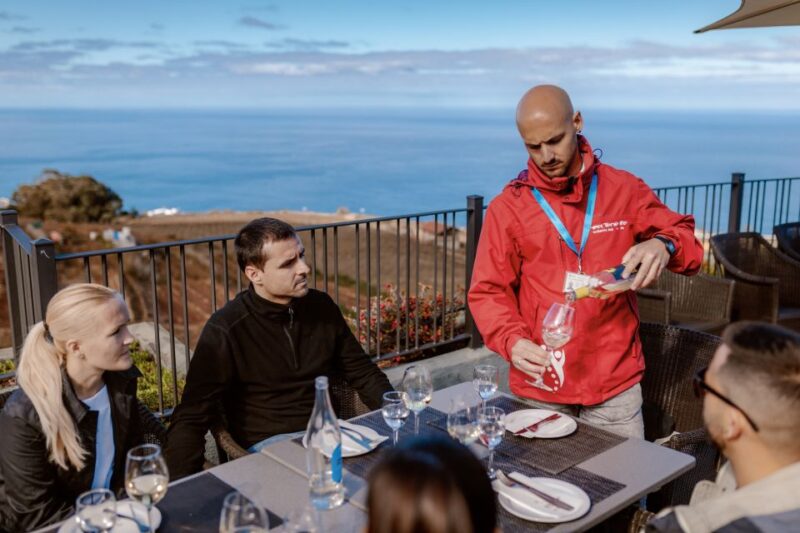 Tenerife Private Tour: Mount Teide Nature and Wine - Electric Car Transfers