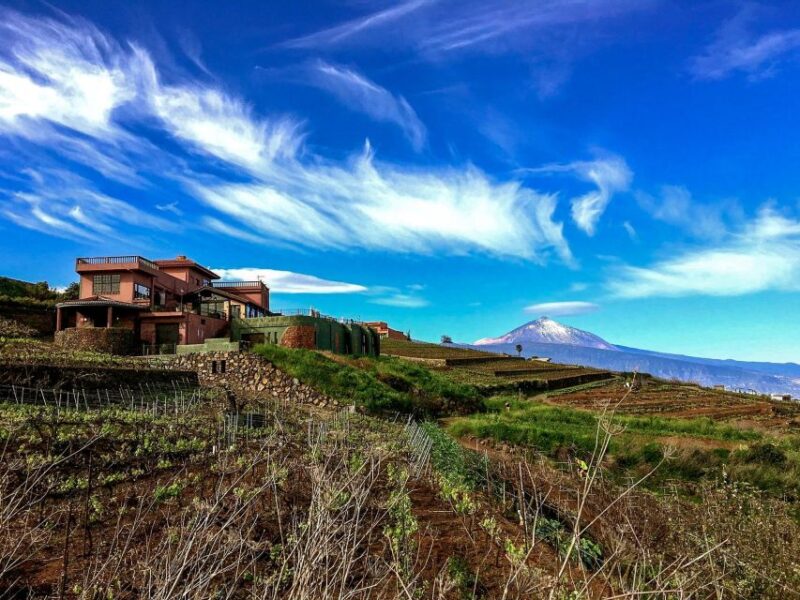 Tenerife Private Tour: Mount Teide Nature and Wine - Teide National Park