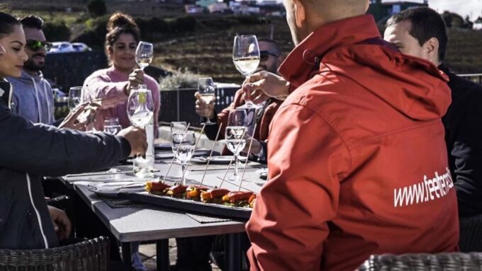 Tenerife Private Tour: Mount Teide Nature and Wine - Frequently Asked Questions