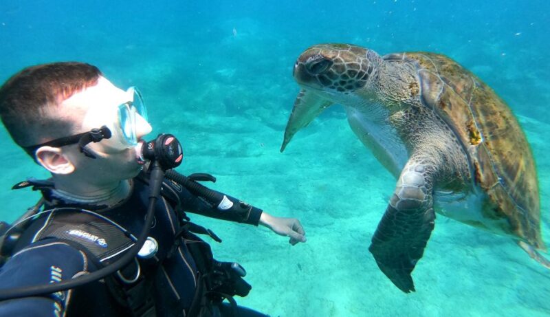Tenerife: Puerto Colon Discover Scuba Diving Trip - Participant Requirements